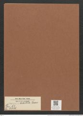 Surirella helvetica Brun (de-Toni-Nr.: Genus 53, Species 2226) Zeichnungen Sammlung Grunow Mappe 02451 (Herbarium_W_Grunow_drawings_Folder_02451)